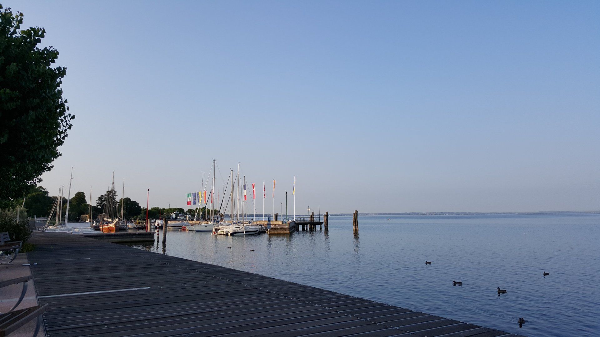 Bardolino und Cisano – Bild 16