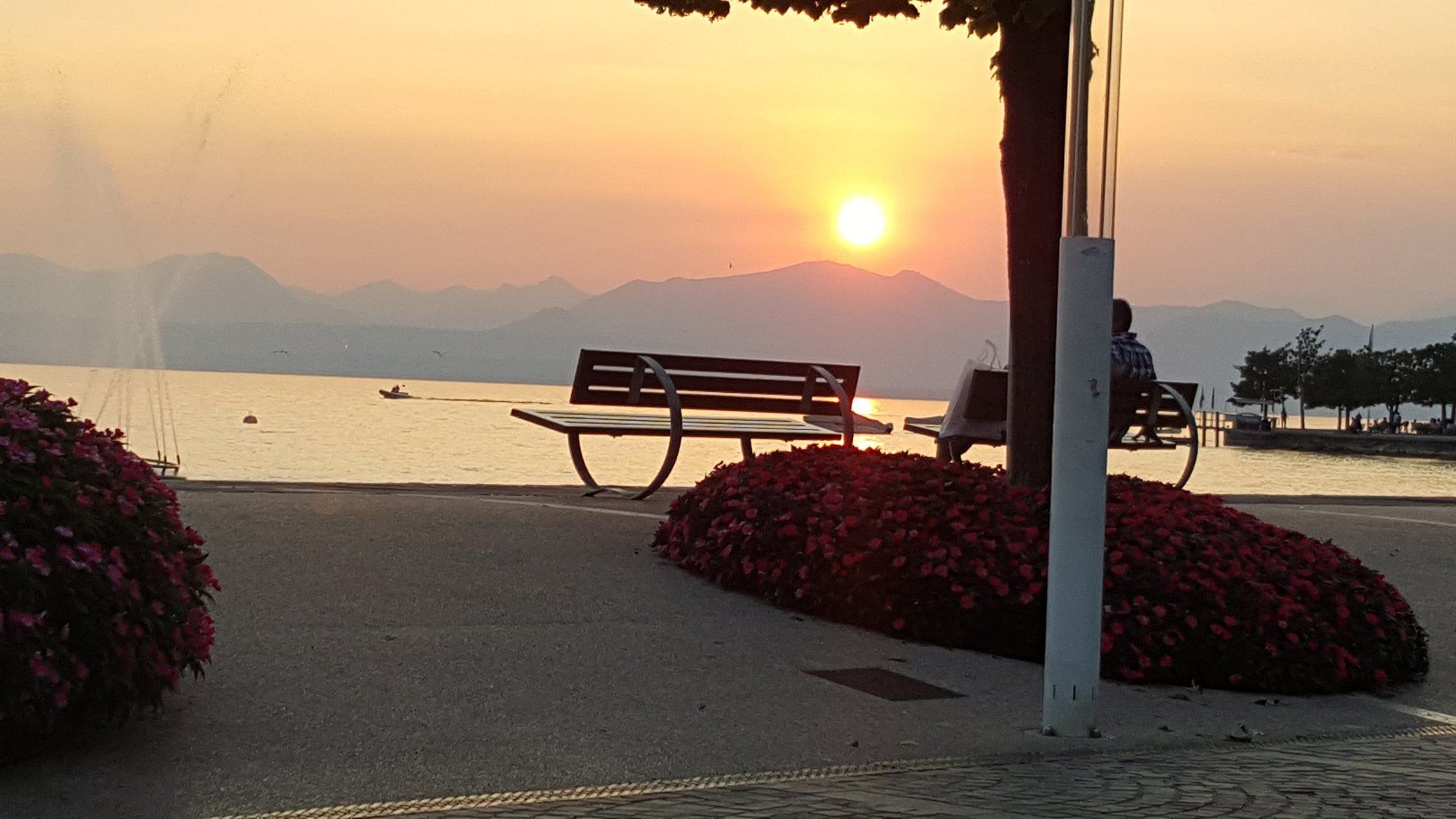 Bardolino und Cisano – Bild 15